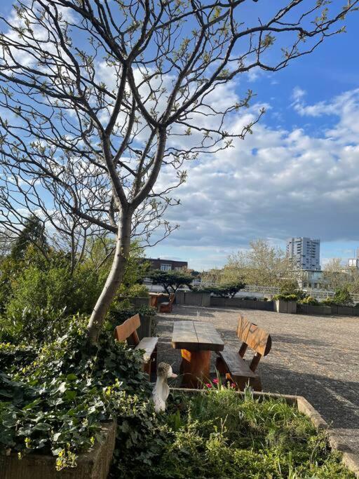 Apartments Strauss Near Bs-Hauptbahnhof Braunschweig Ngoại thất bức ảnh